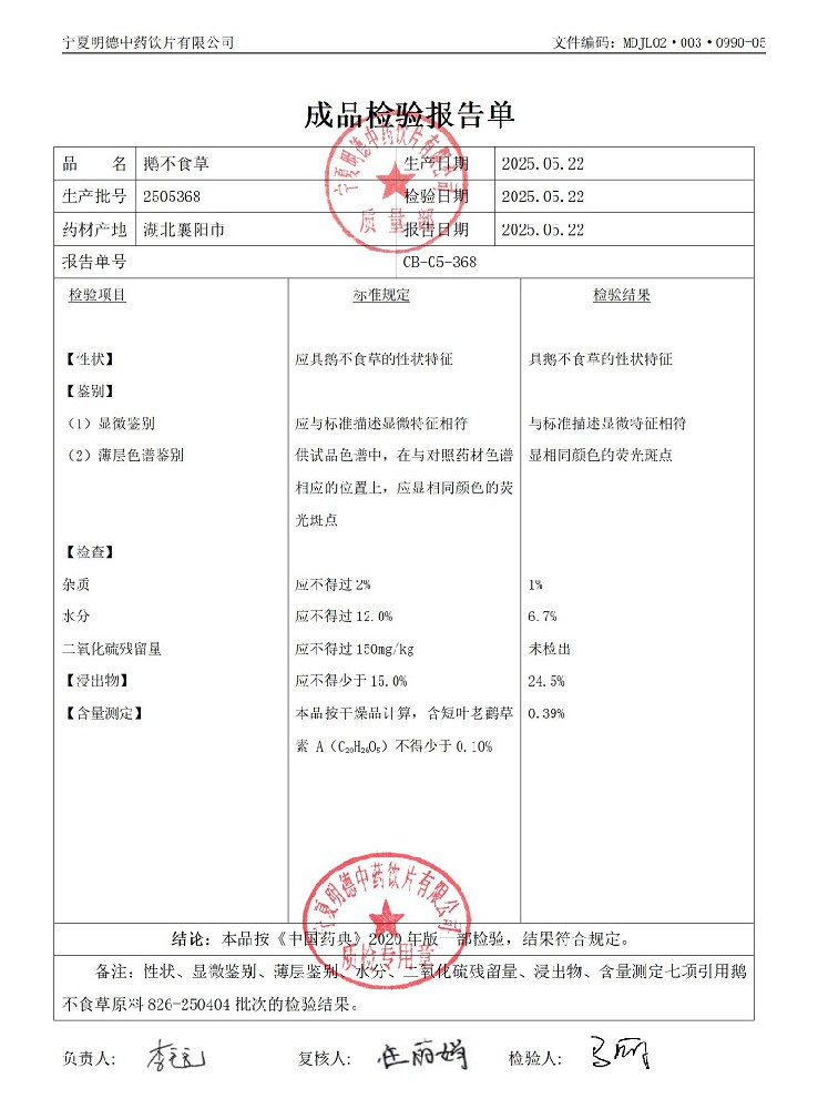 2505368鵝不食草.jpg